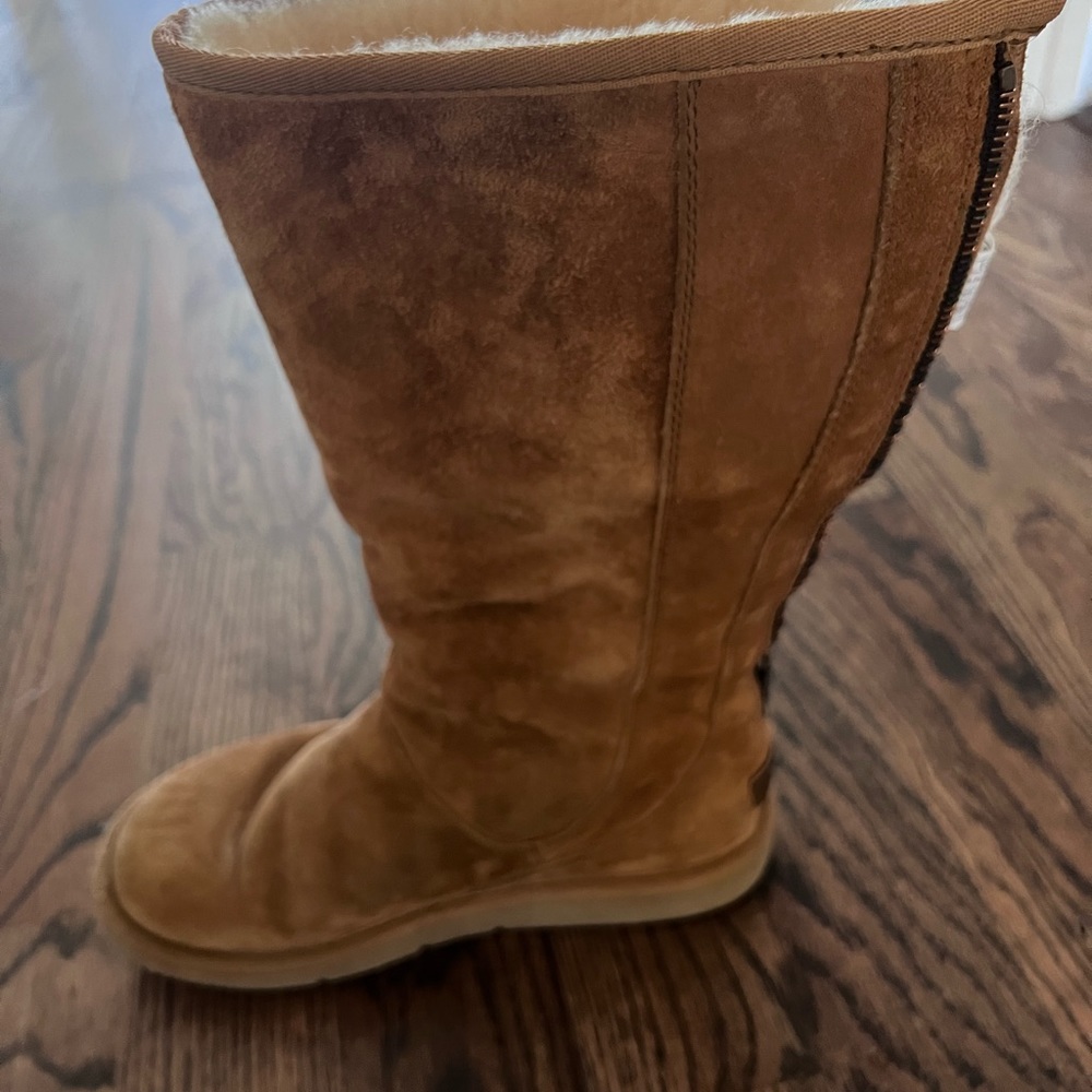 Ugh Zip Up Boots